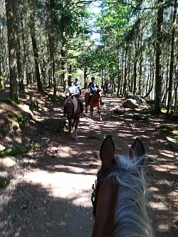 Randonnée, balade à cheval