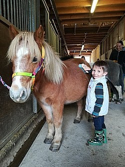 Cours Baby Poney dès 4 ans