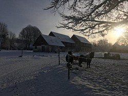 Domaine sous la neige