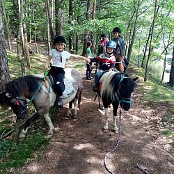 Balade à cheval au bord du lac de Saint Agnan