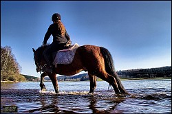 Balade à cheval au bord du lac de Saint Agnan