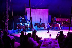 Repas Spectacle équestre au Domaine du Bois du Loup