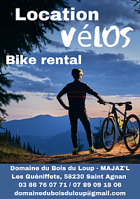 VTT
