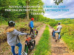 Trotinettes électriques tout terrain